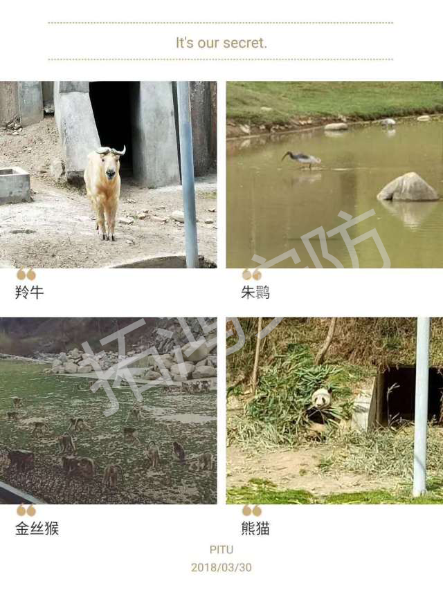 1609144947874727.png 2018040216064085312.png